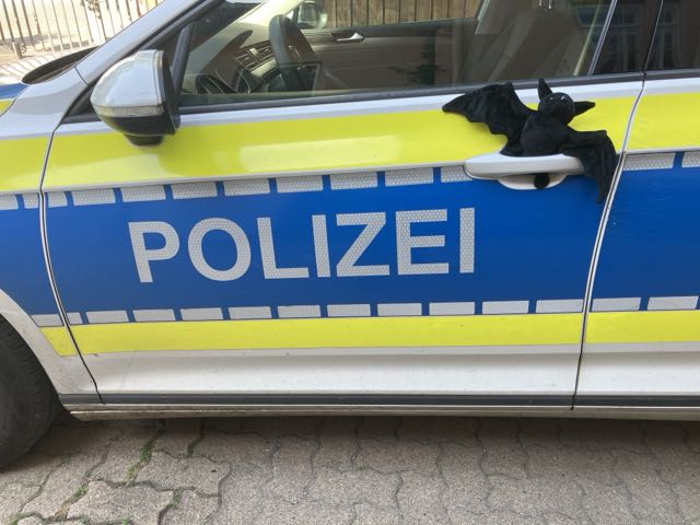 Rinteln – Polizeieskorte für geschwächte Fledermaus
