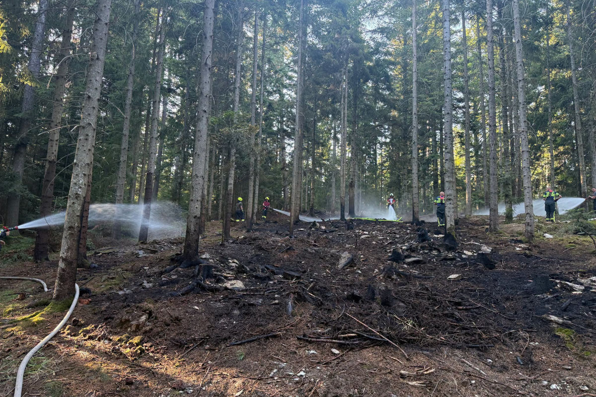 Pöllau – Fast 200 Feuerwehrkräfte bei Waldbrand im Einsatz