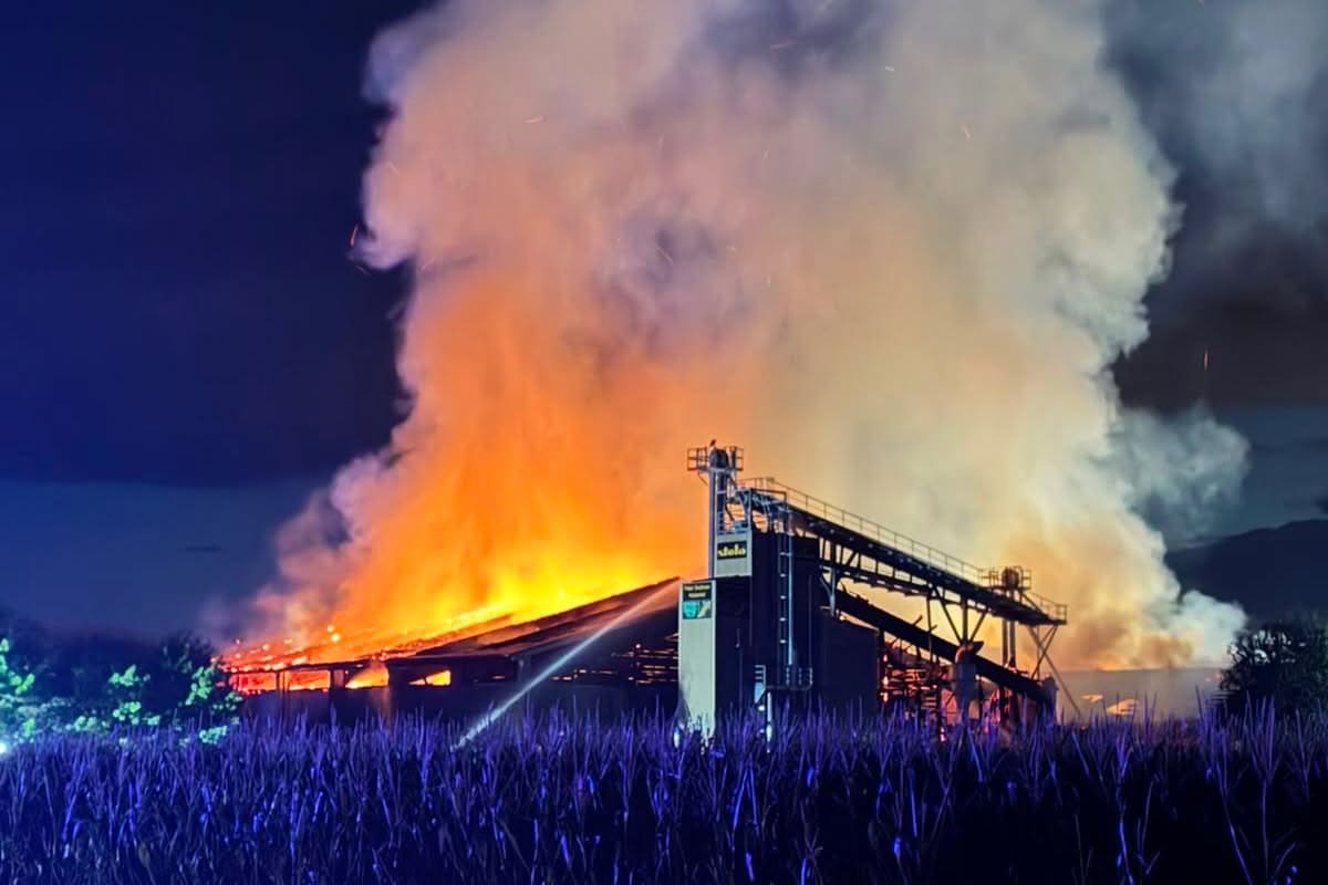 Ried – 1.600 Schweine sterben bei Großbrand auf Bauernhof