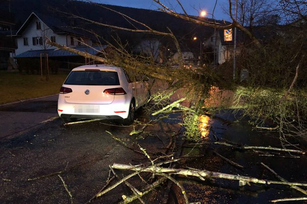 Dulliken SO – Baum stürzt auf fahrendes Fahrzeug