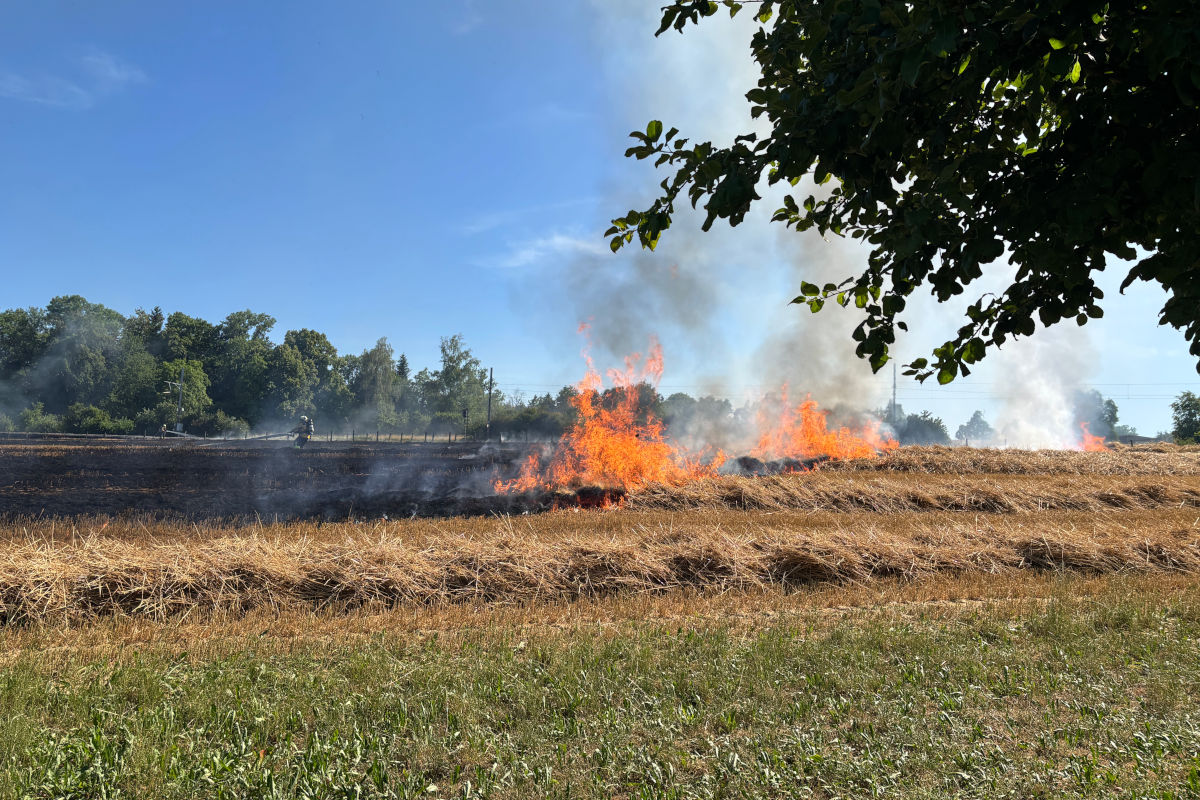 Winden TG – Weizenfeld gerät in Brand