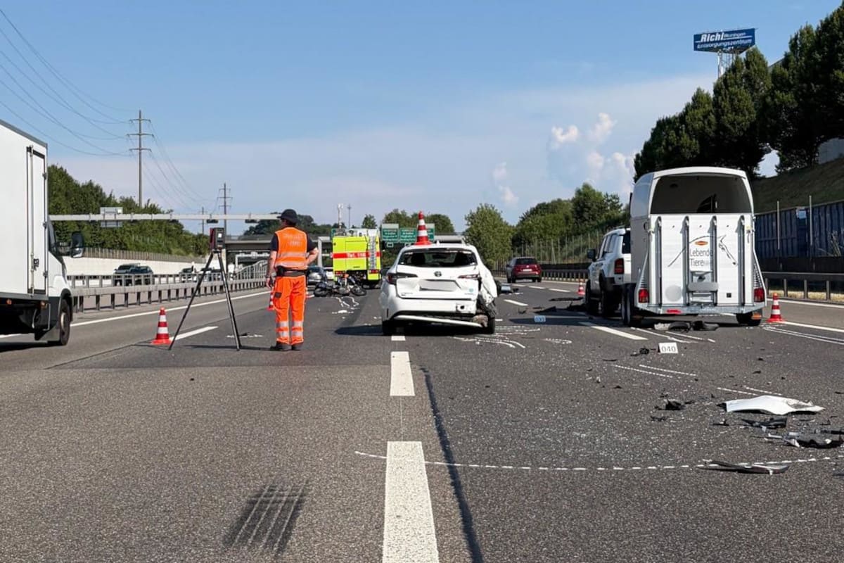 A1 Weiningen ZH – Töfffahrer prallt in Stauende