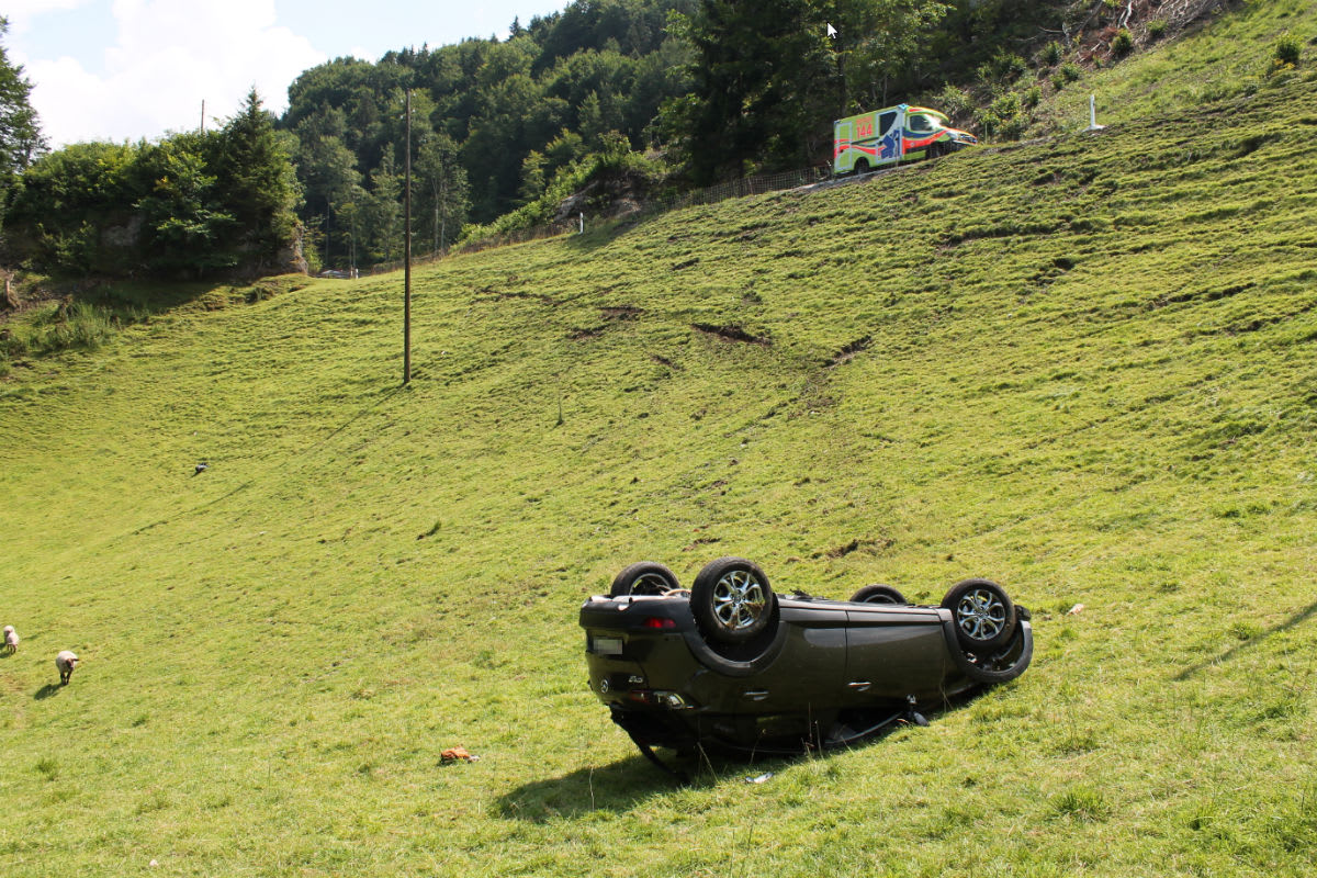 Appenzell Innerrhoden AI - Selbstunfall mit Sachschaden