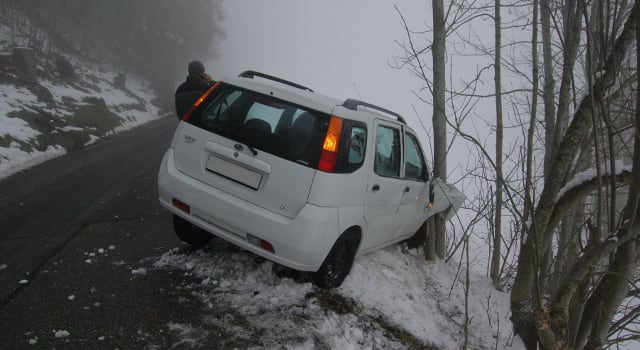 Alleinunfall in Trogen