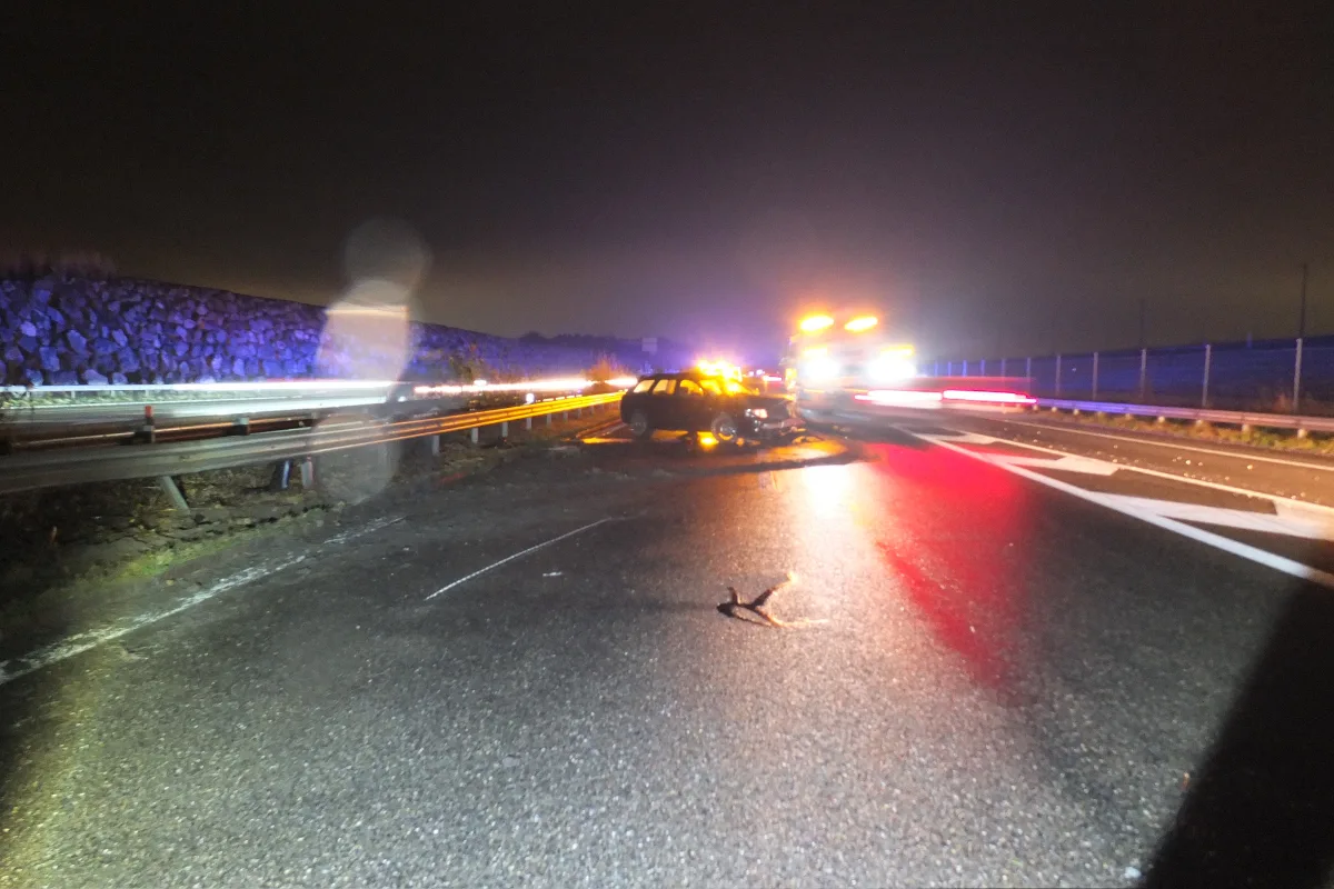 Kriessern SG - Verletzter nach Alleinunfall