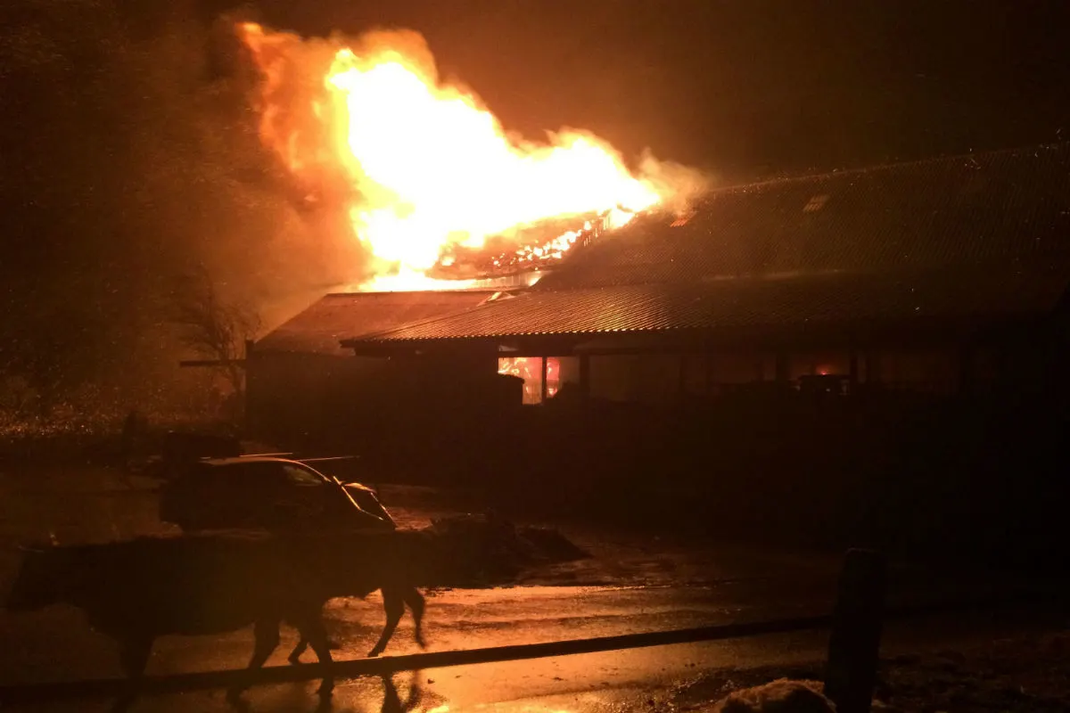 7 Personen nach Grossbrand mit Verdacht auf Rauchvergiftung im Spital