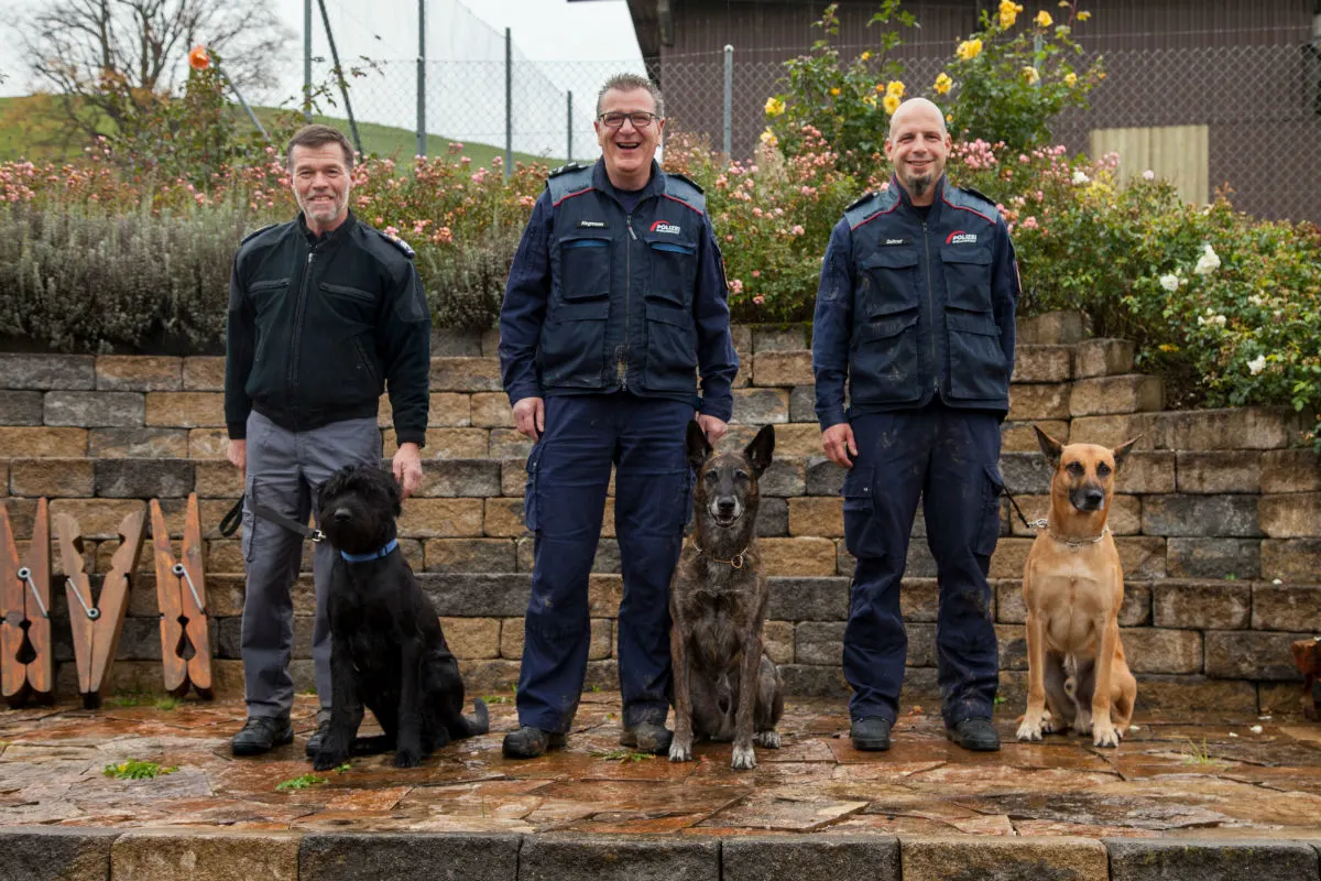 Läufelfingen BL - "Macho" siegt bei der Hundeprüfung