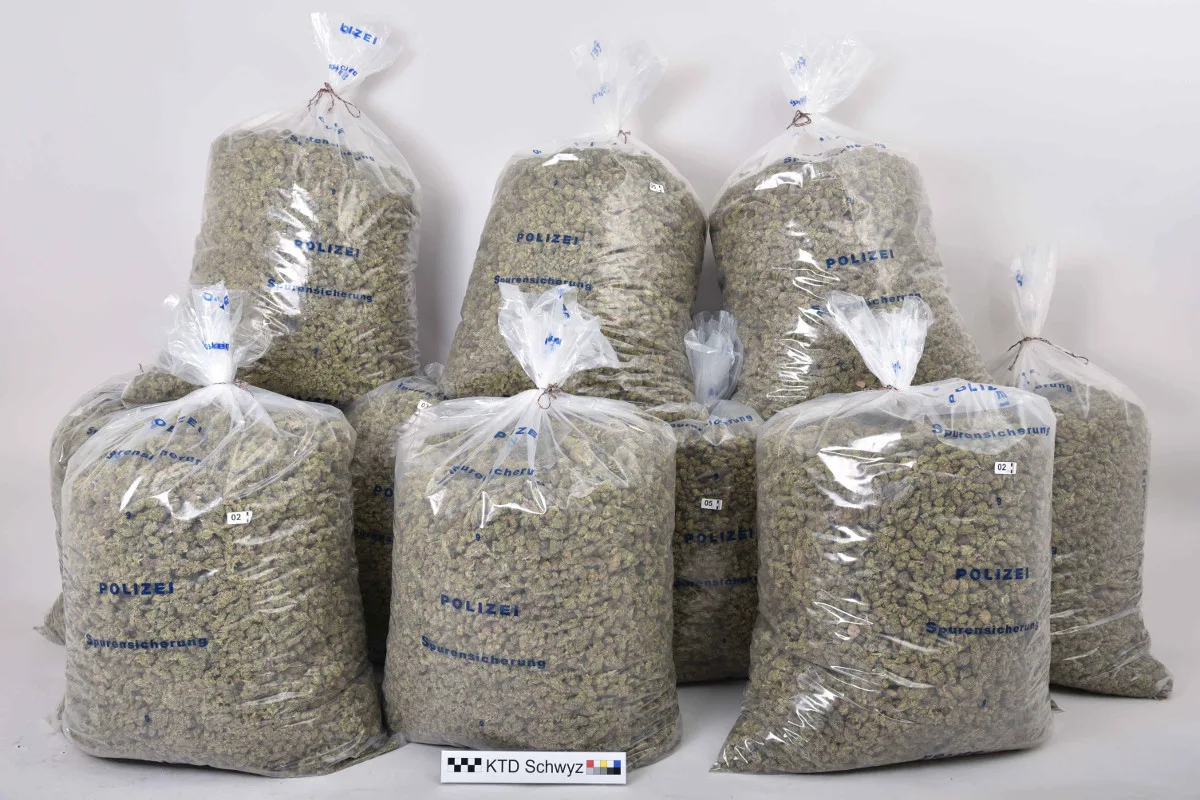 Brunnen SZ - 90 Kilo Marihuana in leerstehender Wohnung entdeckt