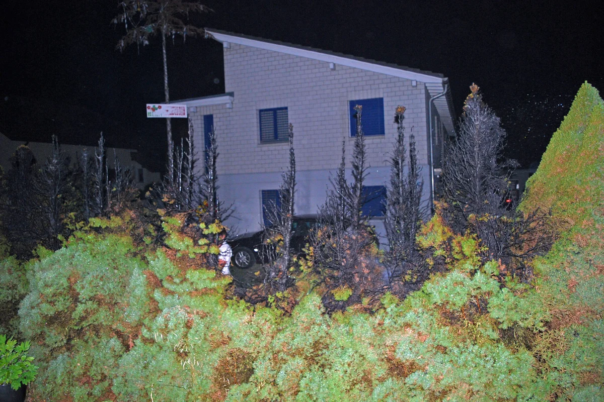 Brennende Hecke in Ettiswil