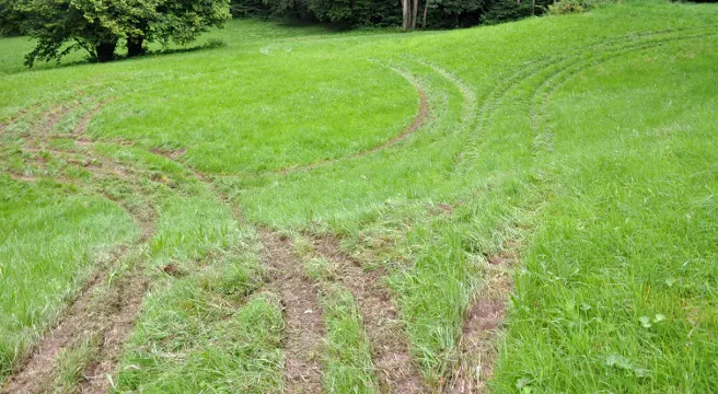 Wiese in Ruggell verwüstet