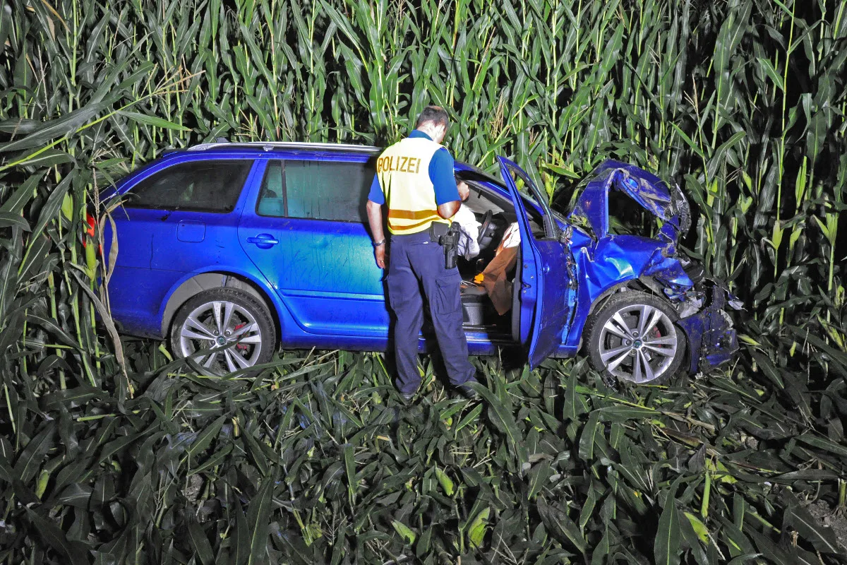 Ettenhausen TG: Betrunken im Maisfeld gelandet