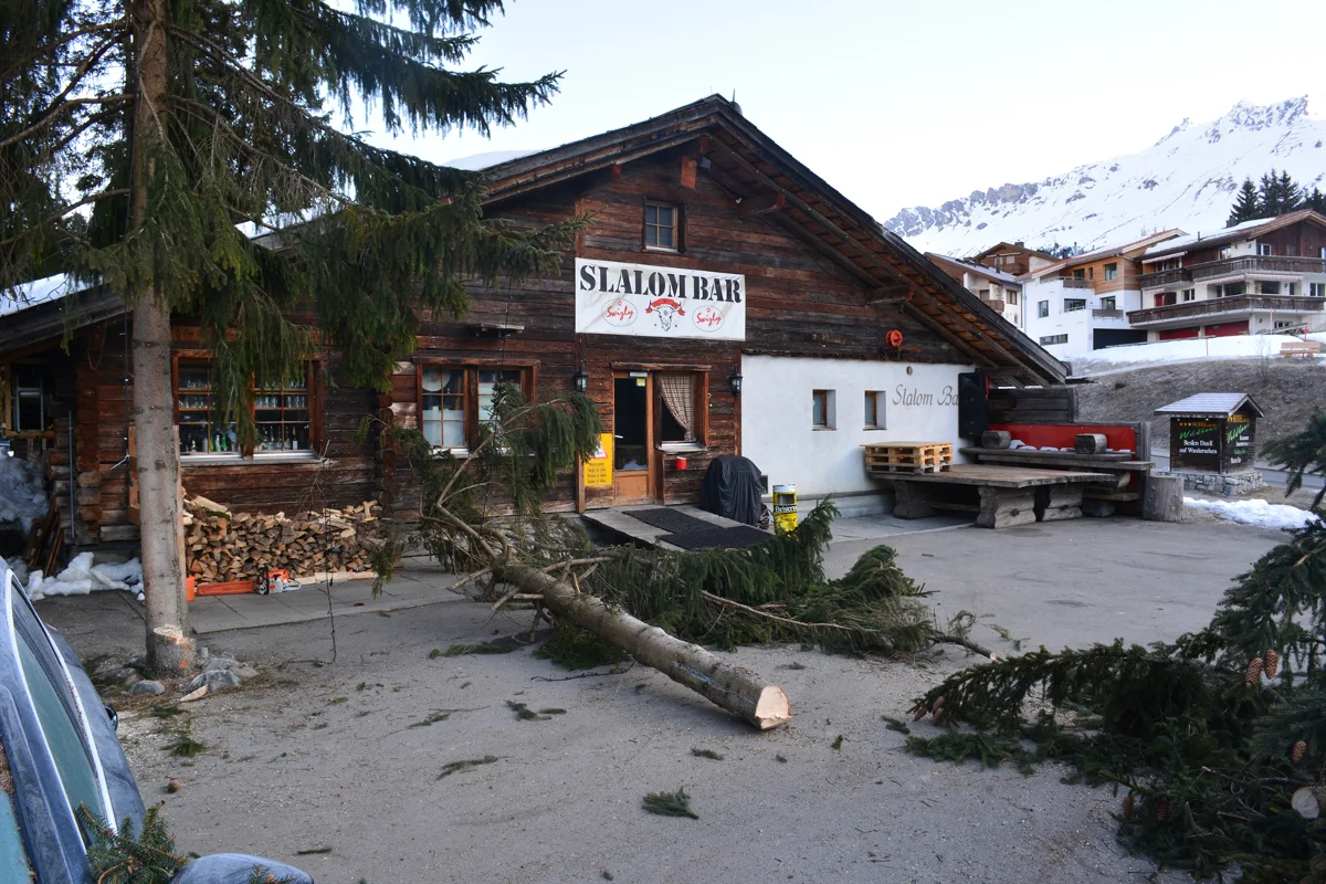 Unbekannte Holzfäller aus Valbella gesucht