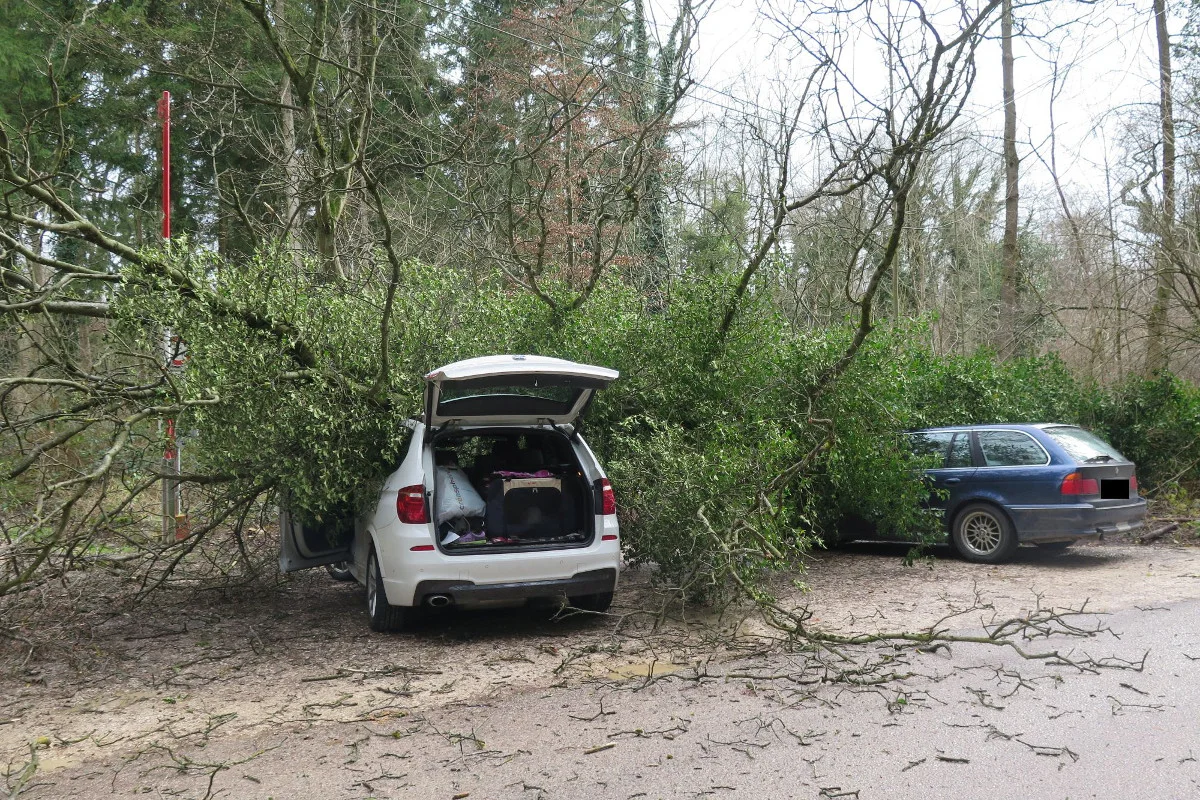 Starker Wind sorgt für Zwischenfälle in Baselland
