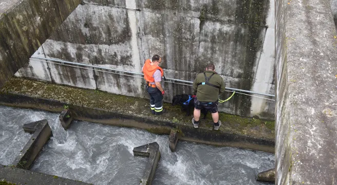 Hund in Domat/Ems aus Fischtreppe gerettet