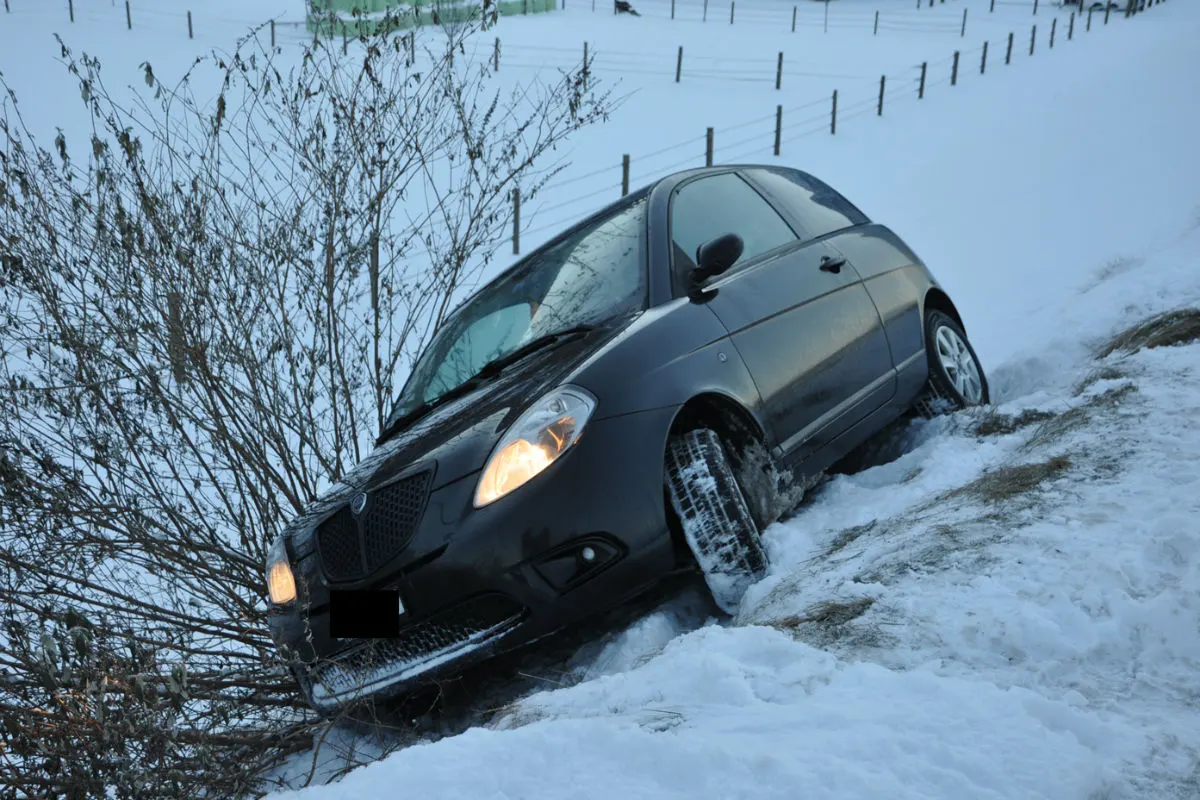 Vaduz FL - Vom Rheindamm abgekommen