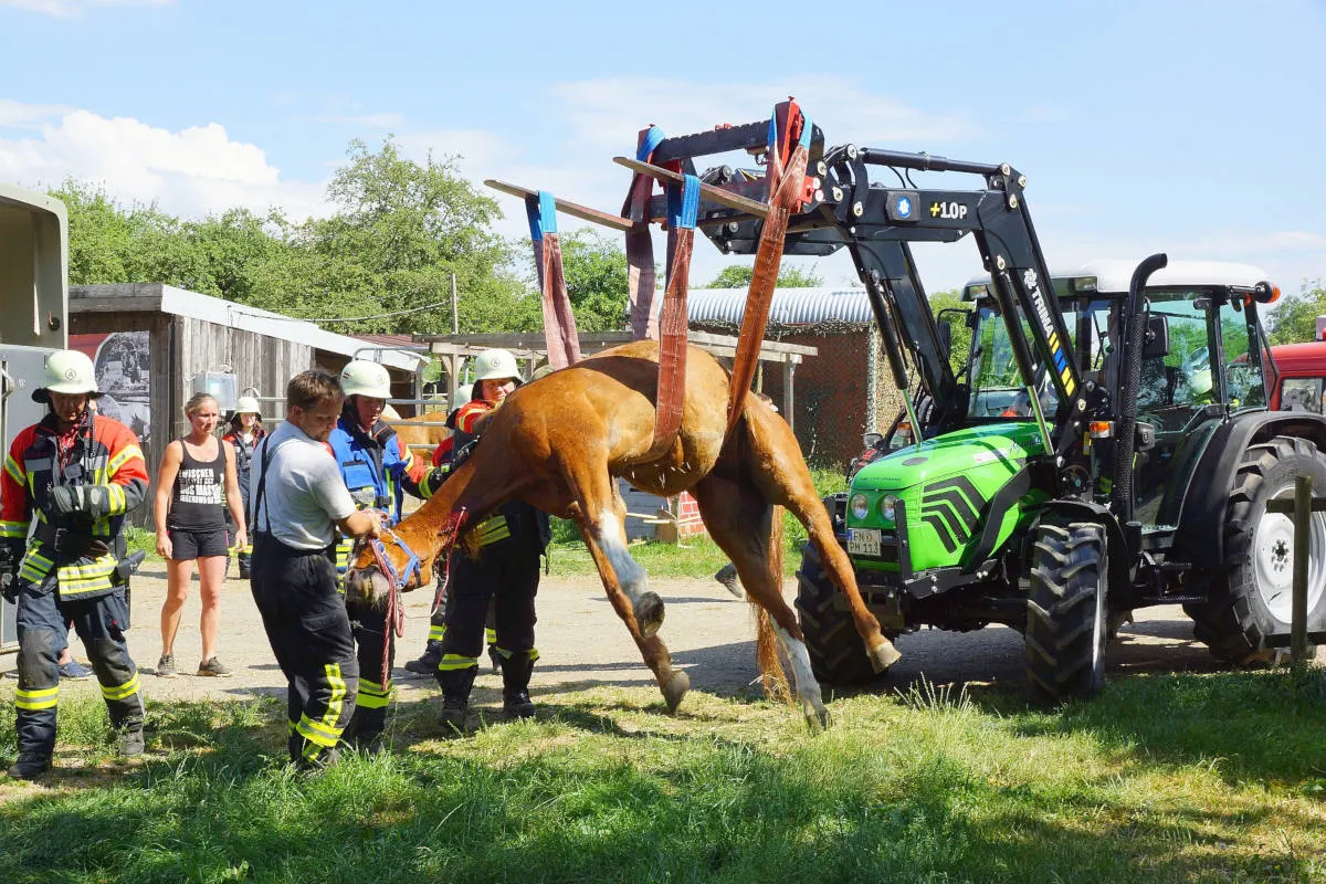 Überlingen BW - Pferd aus Notlage gerettet