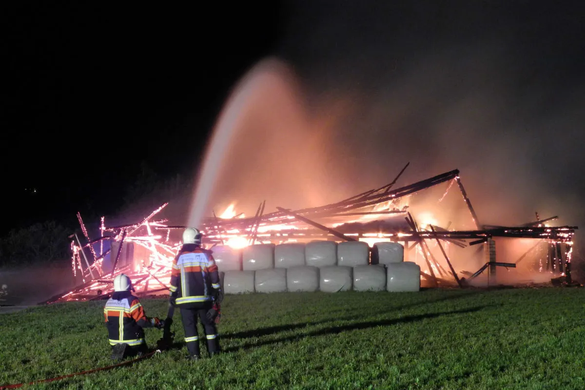 Arth: Leere Scheune in Arth komplett niedergebrannt