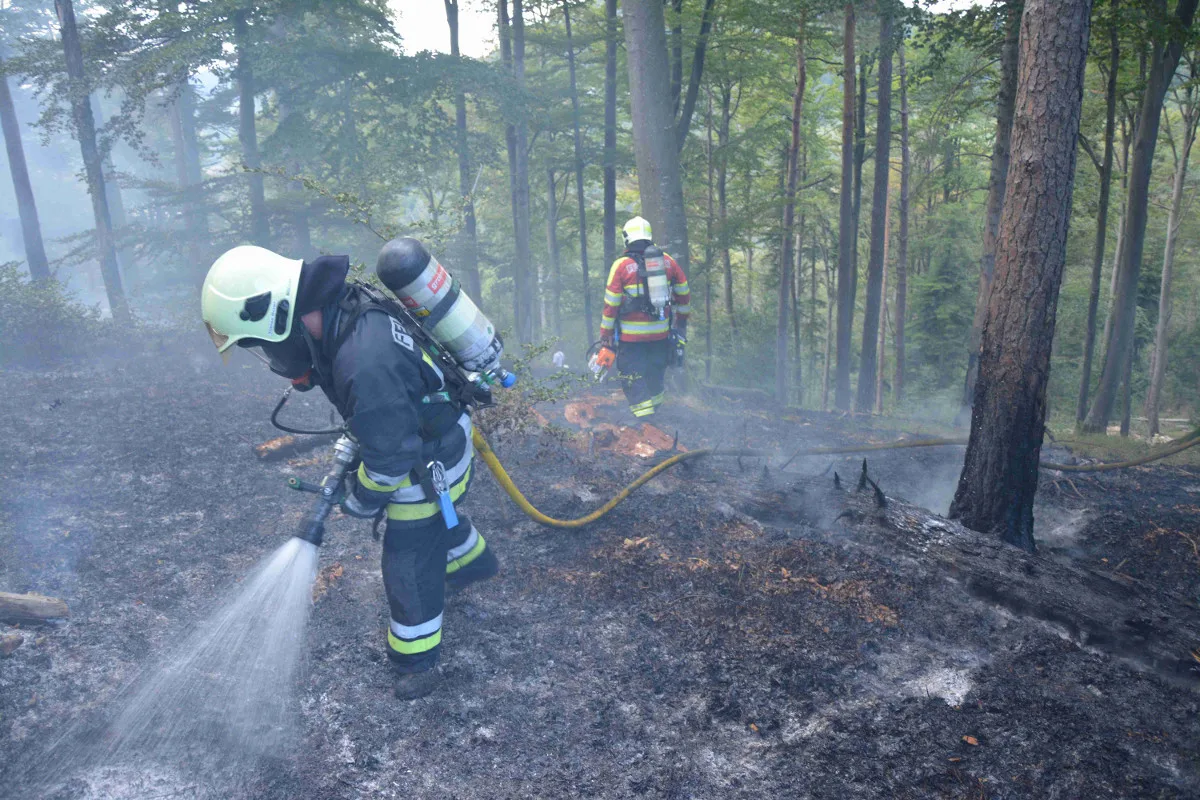 Waldbrand in Kleinlützel SO erfordert Feuerwehr-Einsatz 