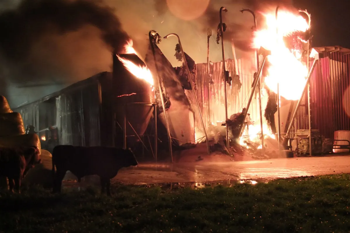 Kriessern: 100 Rinder starben in den Flammen