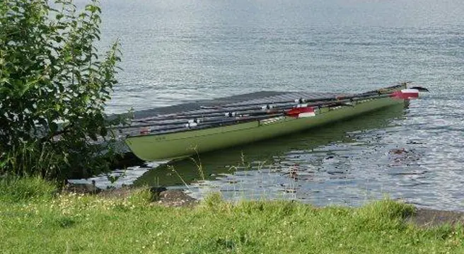 Küsnacht: Sportruderboote kollidieren auf dem Zürichsee