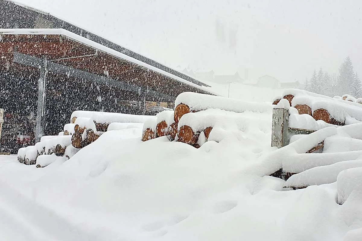 Sicher ankommen - Schneeketten auf Sommerreifen sind ein No-Go!