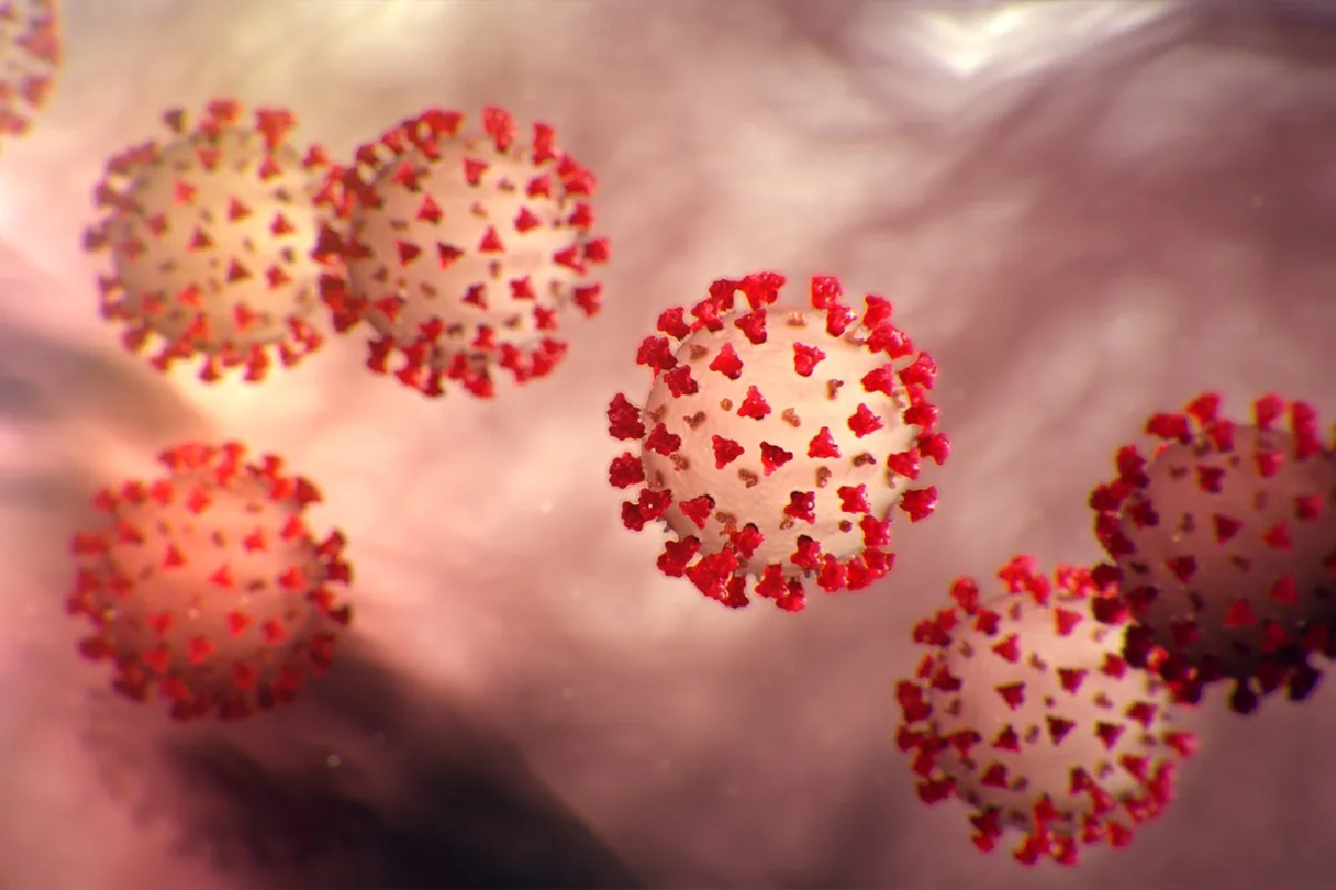 Coronavirus im Kanton Aargau - Bundesasylzentrum Brugg ab 30. November 2020 eröffnet