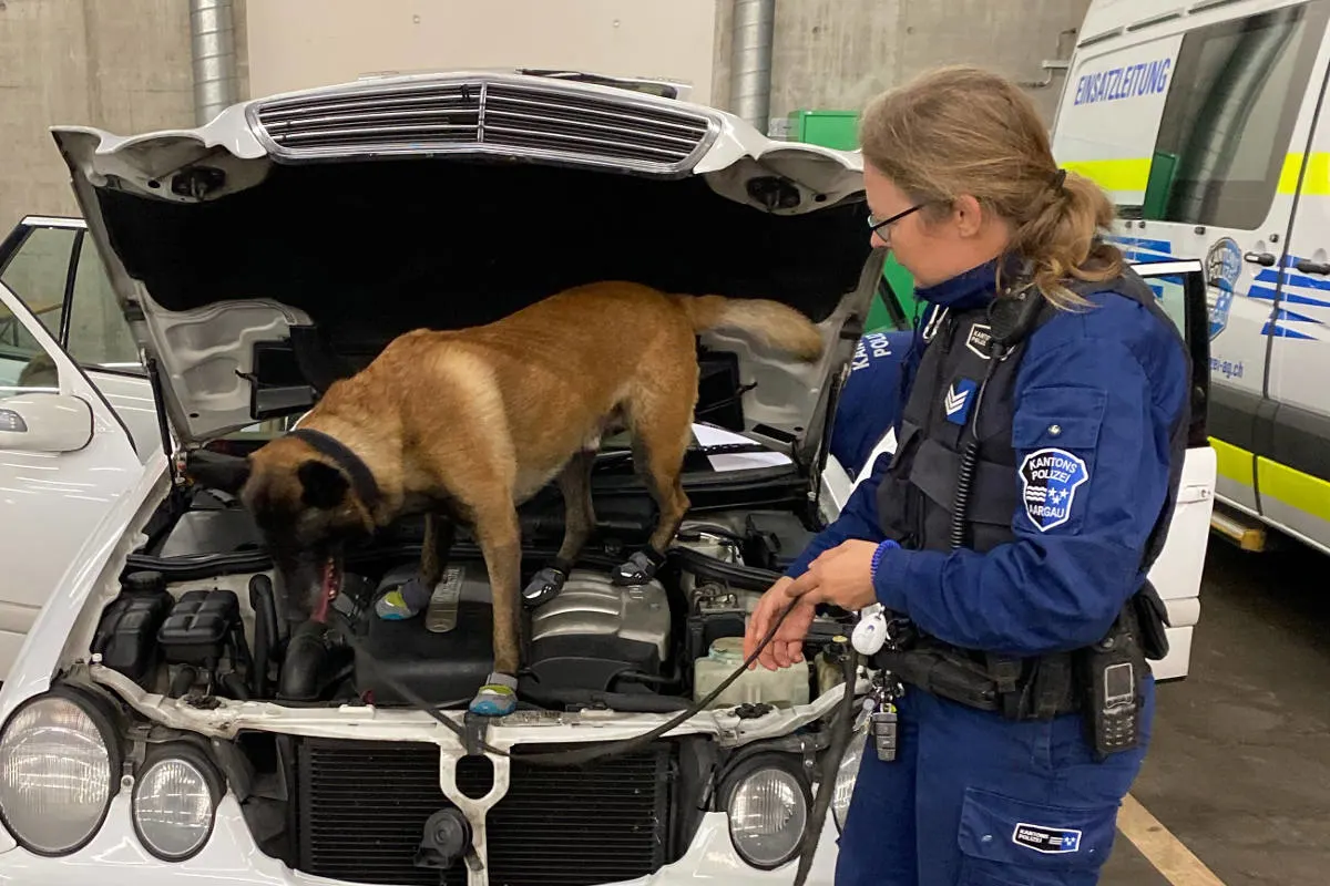Aargau AG - 150 Polizisten im Einsatz gegen Einbrecher!