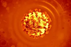 Coronavirus in der Stadt Bern - Übersterblichkeit im November 2020!