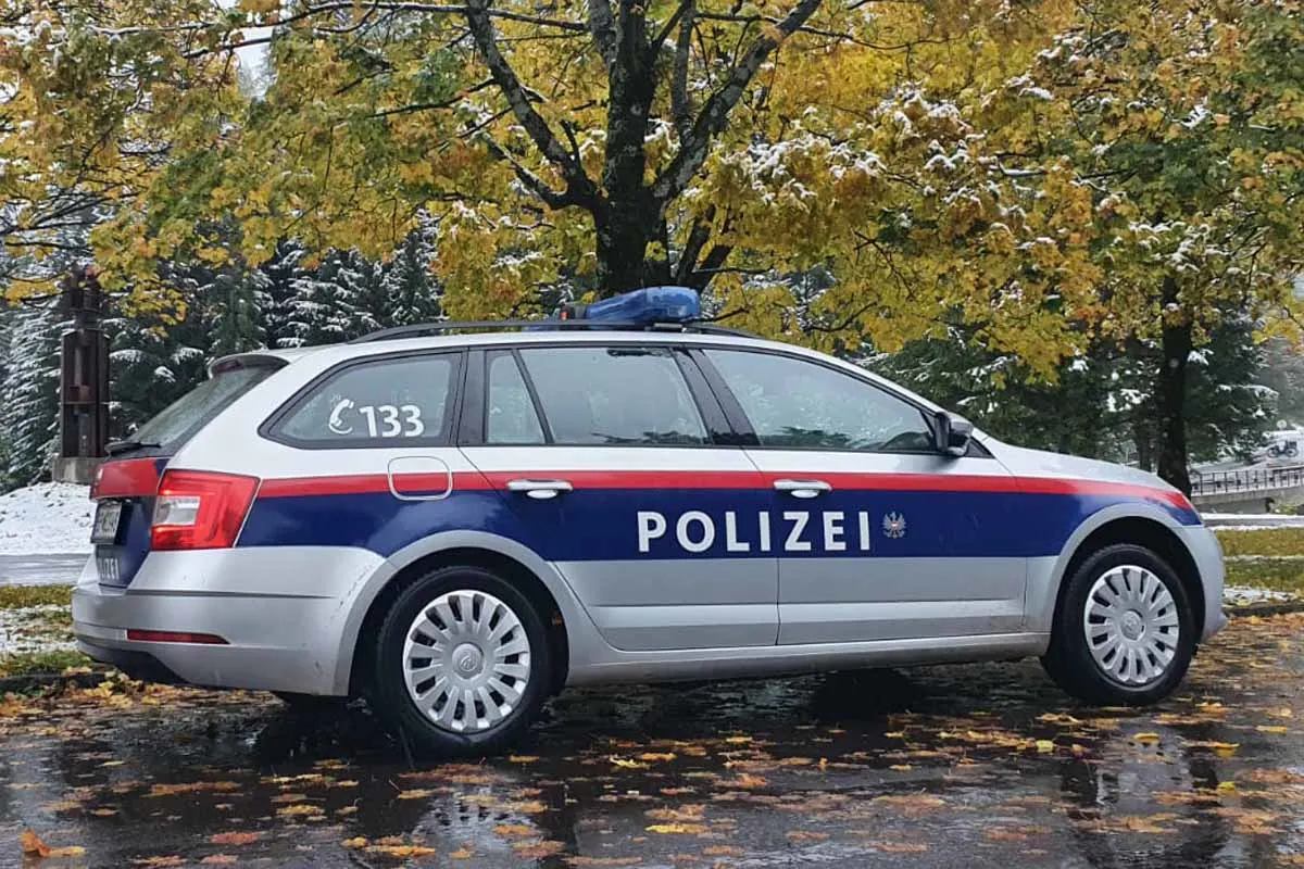 Dornbirn V – Tote Katze ohne Kopf gefunden