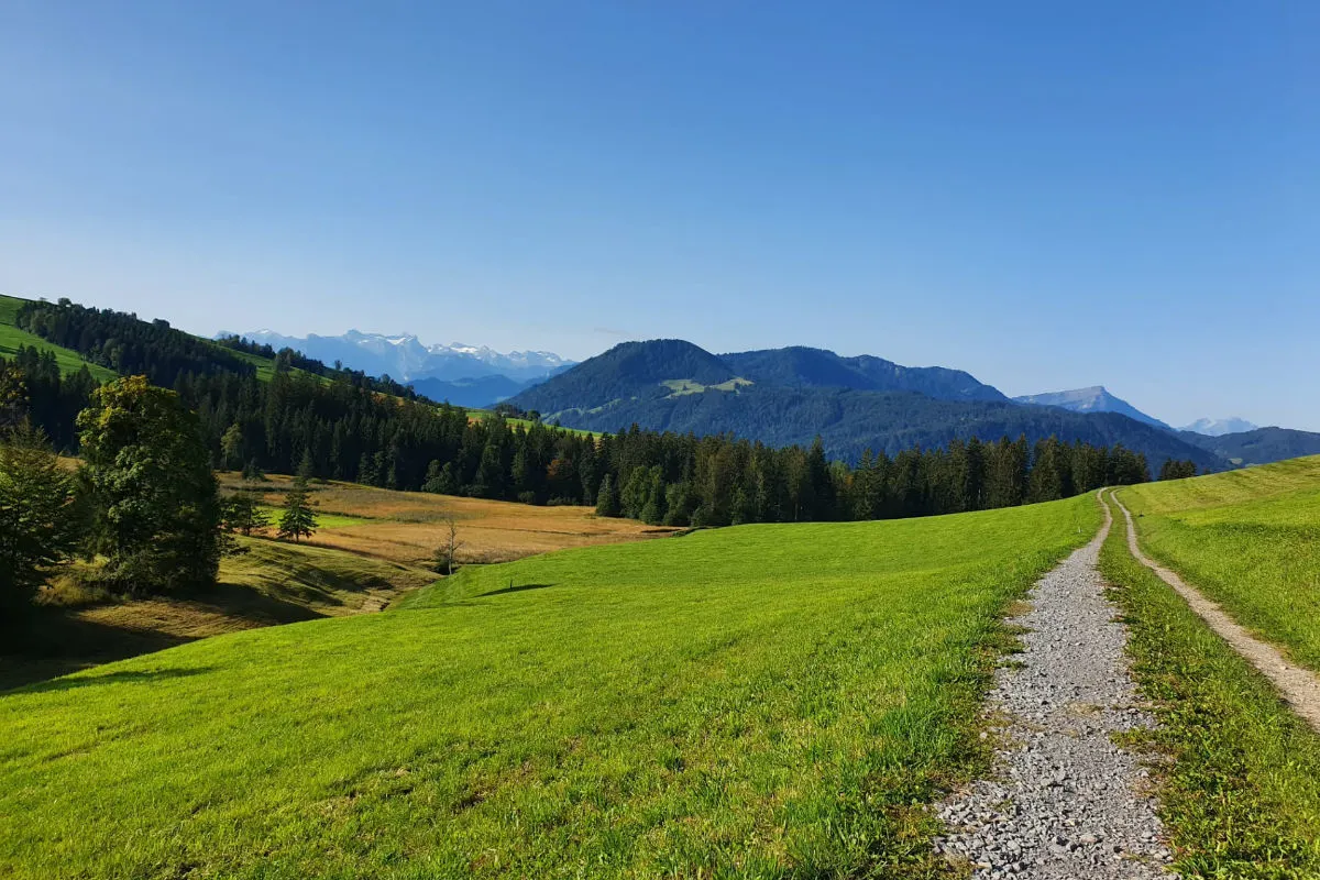 Bezirk Gmunden - Tödlicher Alpinunfall - Pensionistin stürzte über Felswand