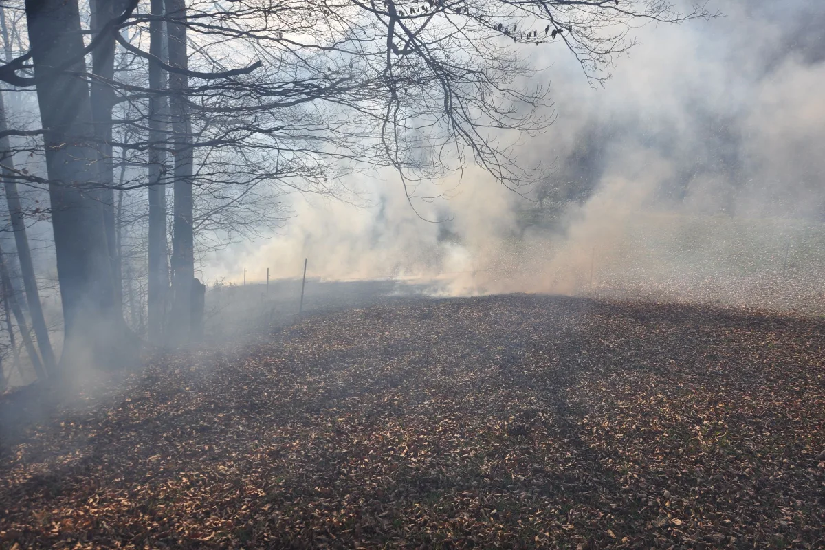 Waldbrand unterhalb der Froburg in Trimbach