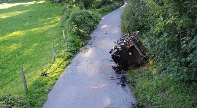 Mit Pferdekutsche in Dallenwil verunfallt