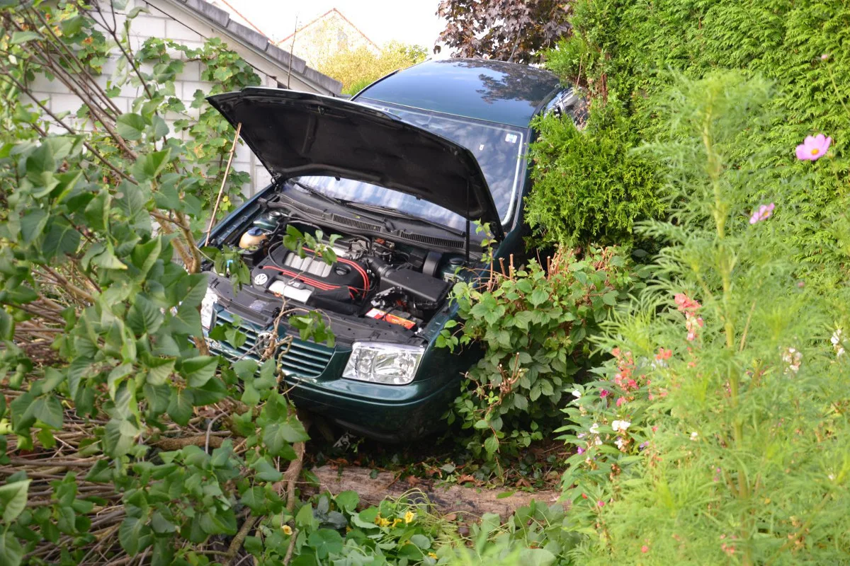 Pfeffingen BL - Mit Auto in Gebüsch gelandet