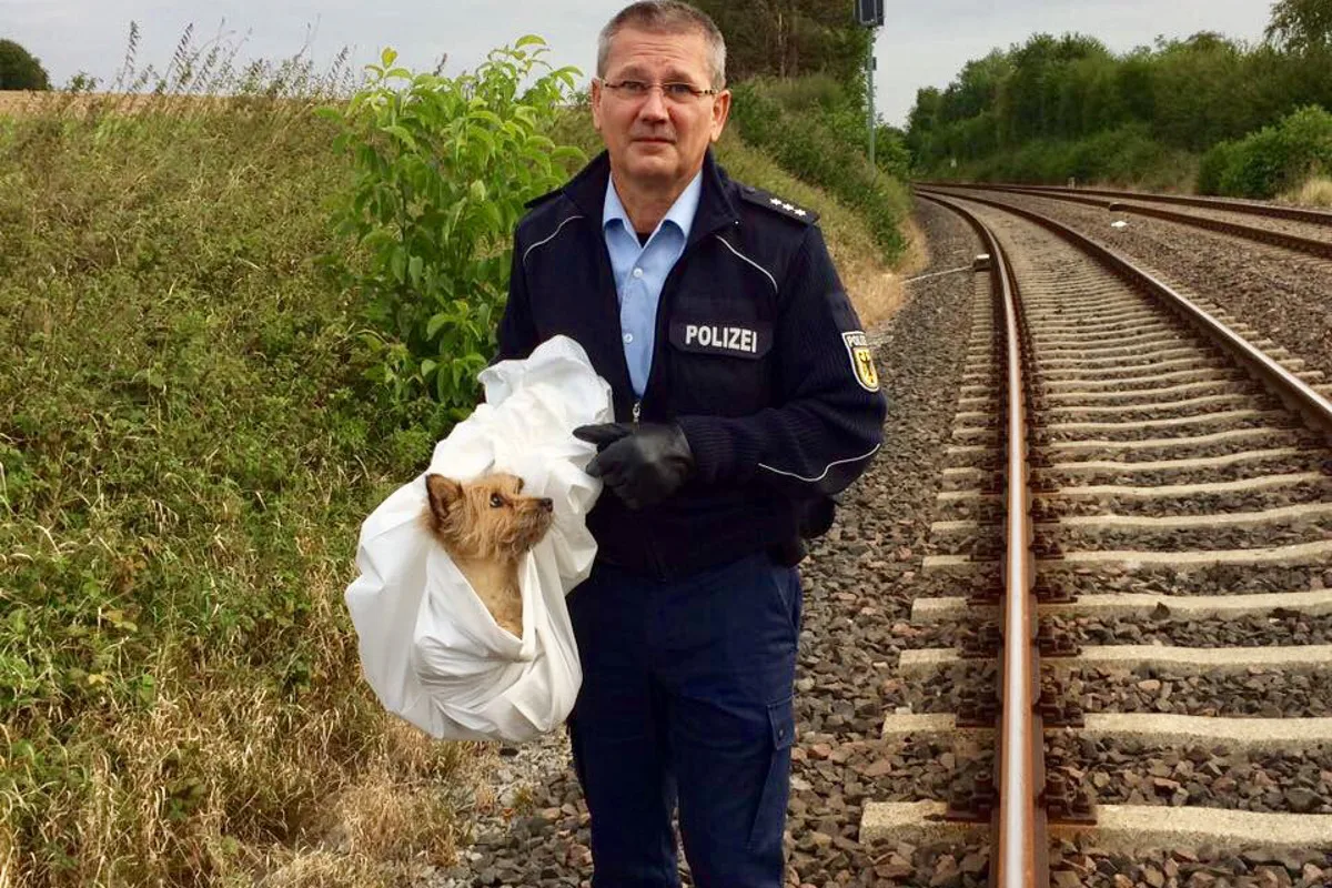 Cappel BW - Verletzter Hund im Gleisbereich