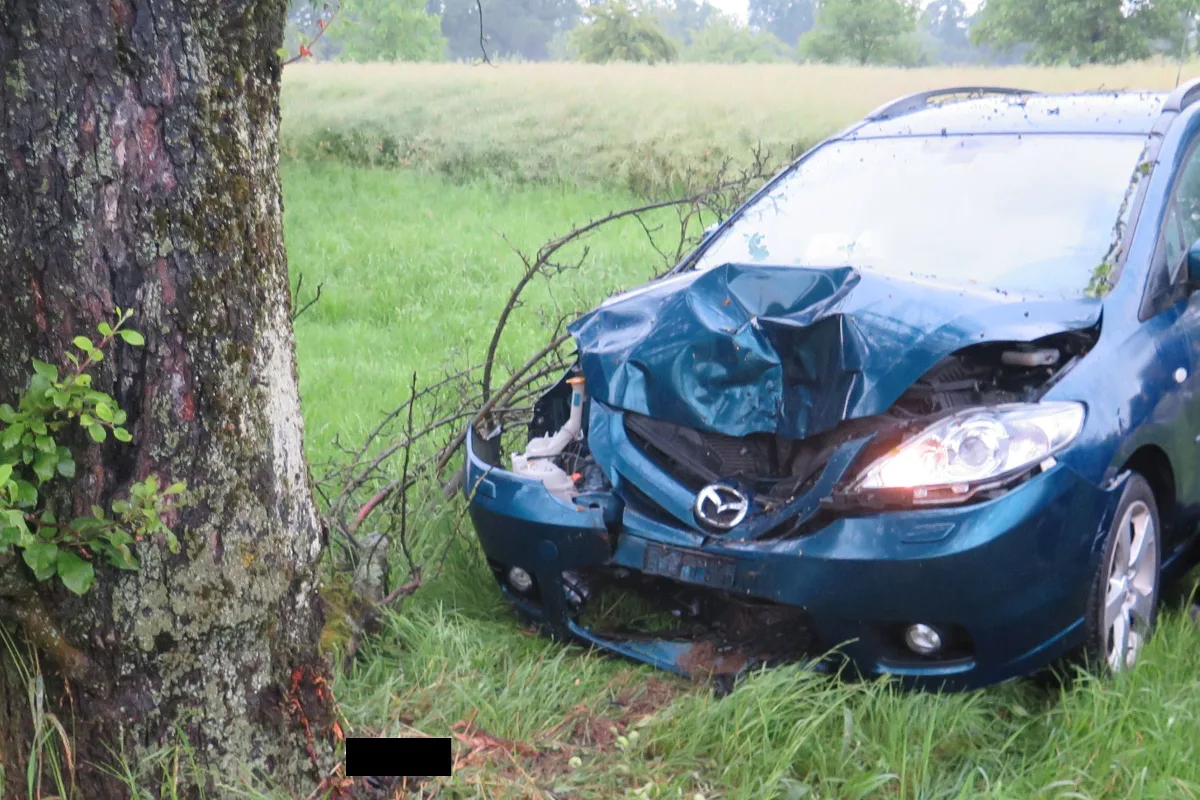 In Allschwil mit Auto in Baum geprallt - Fahrer verletzt
