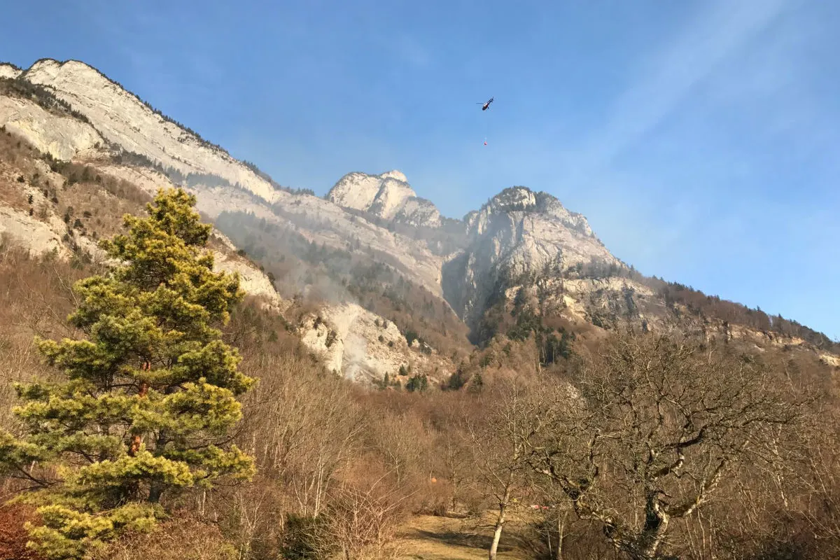 Heiligkreuz SG - Wohl nicht korrekt gelöschtes Feuer führt zu Waldbrand 