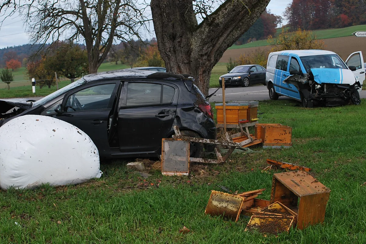 Kollision in Geuensee fordert zwei Verletzte