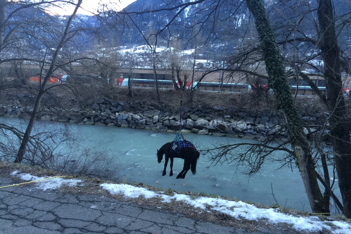 Naters: Pferd stürzt in die Rhône