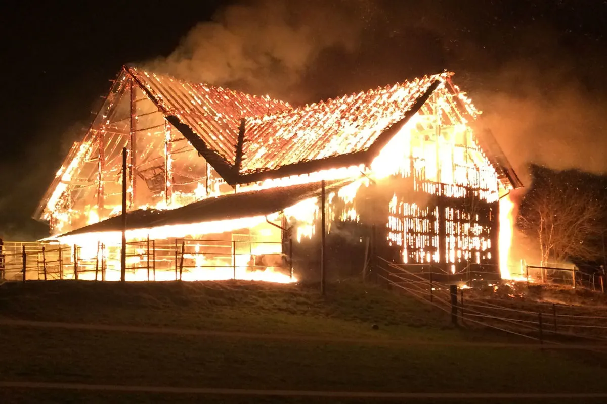 Hausen am Albis ZH - 23 Kühe bei Scheunenbrand verendet