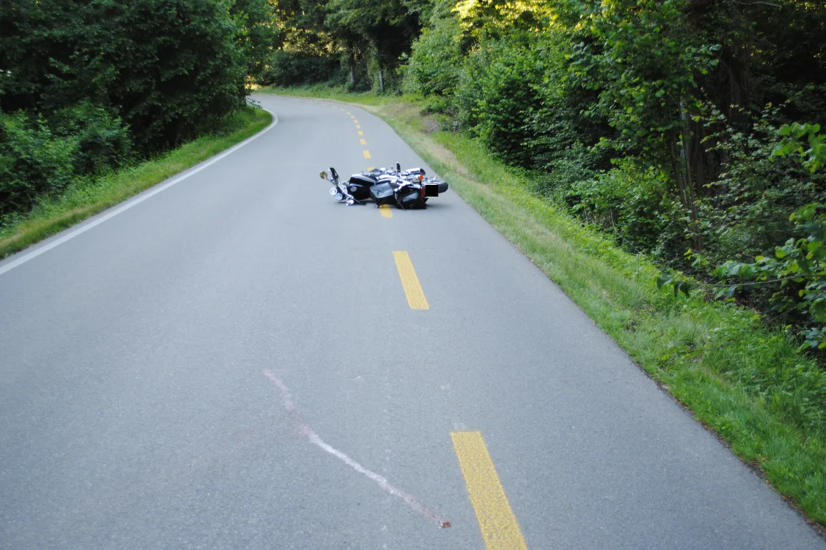 Dörflingen SH - Reh bei Kollision mit Motorrad getötet