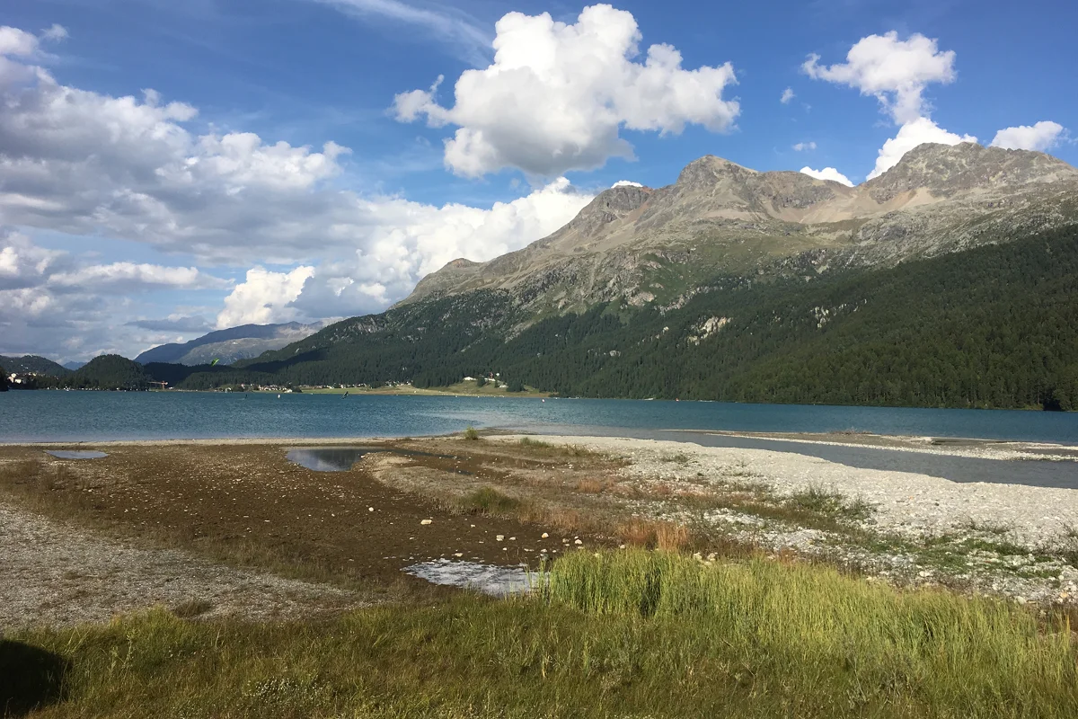 Sils im Engadin GR - Frau fast ertrunken - Hund vermisst 