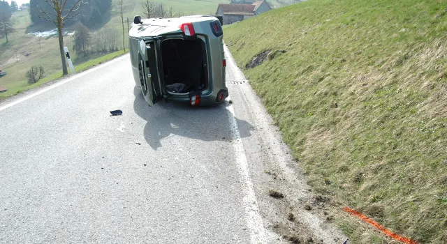 Trogen: 87-Jähriger verunfallt wegen Katze