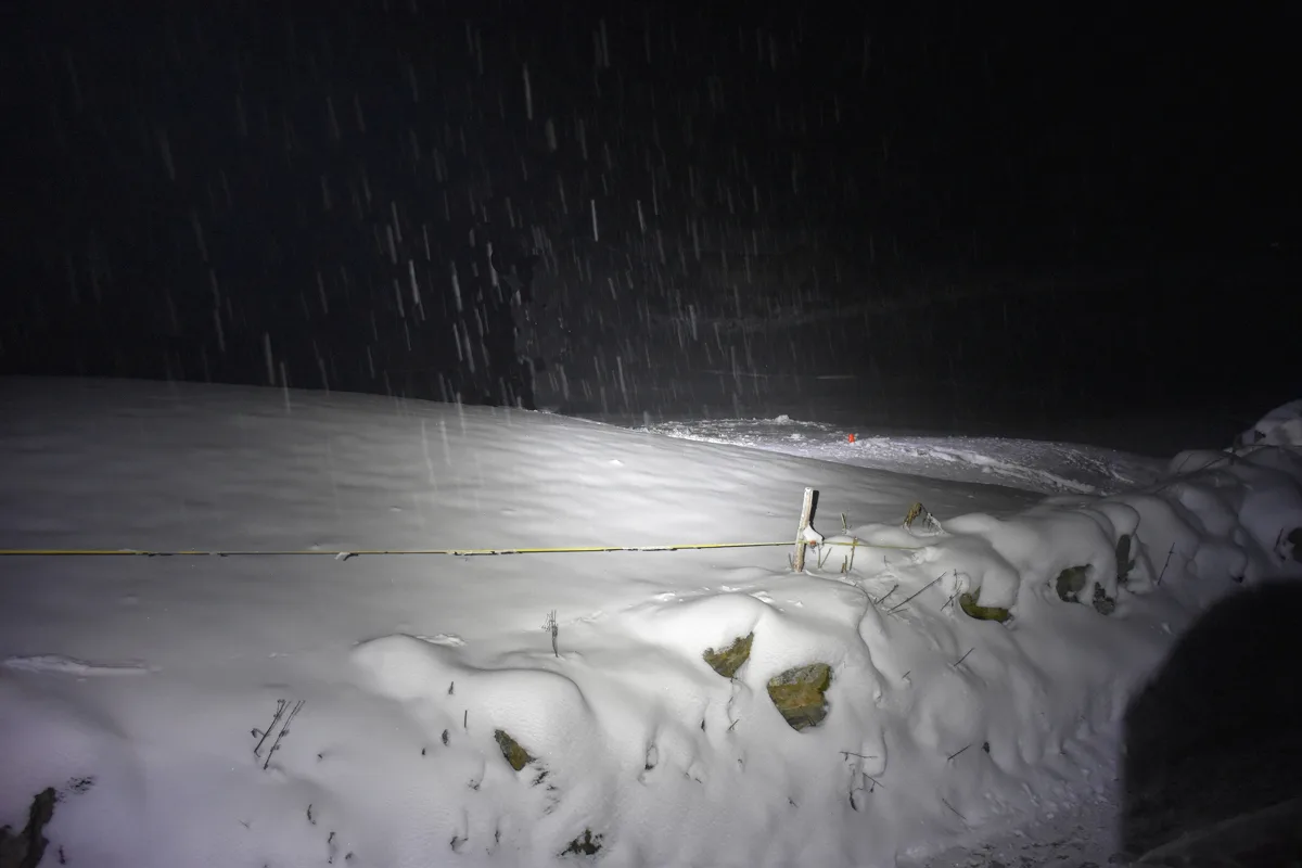 Klosters GR - Jäger (80) erschiesst Hund