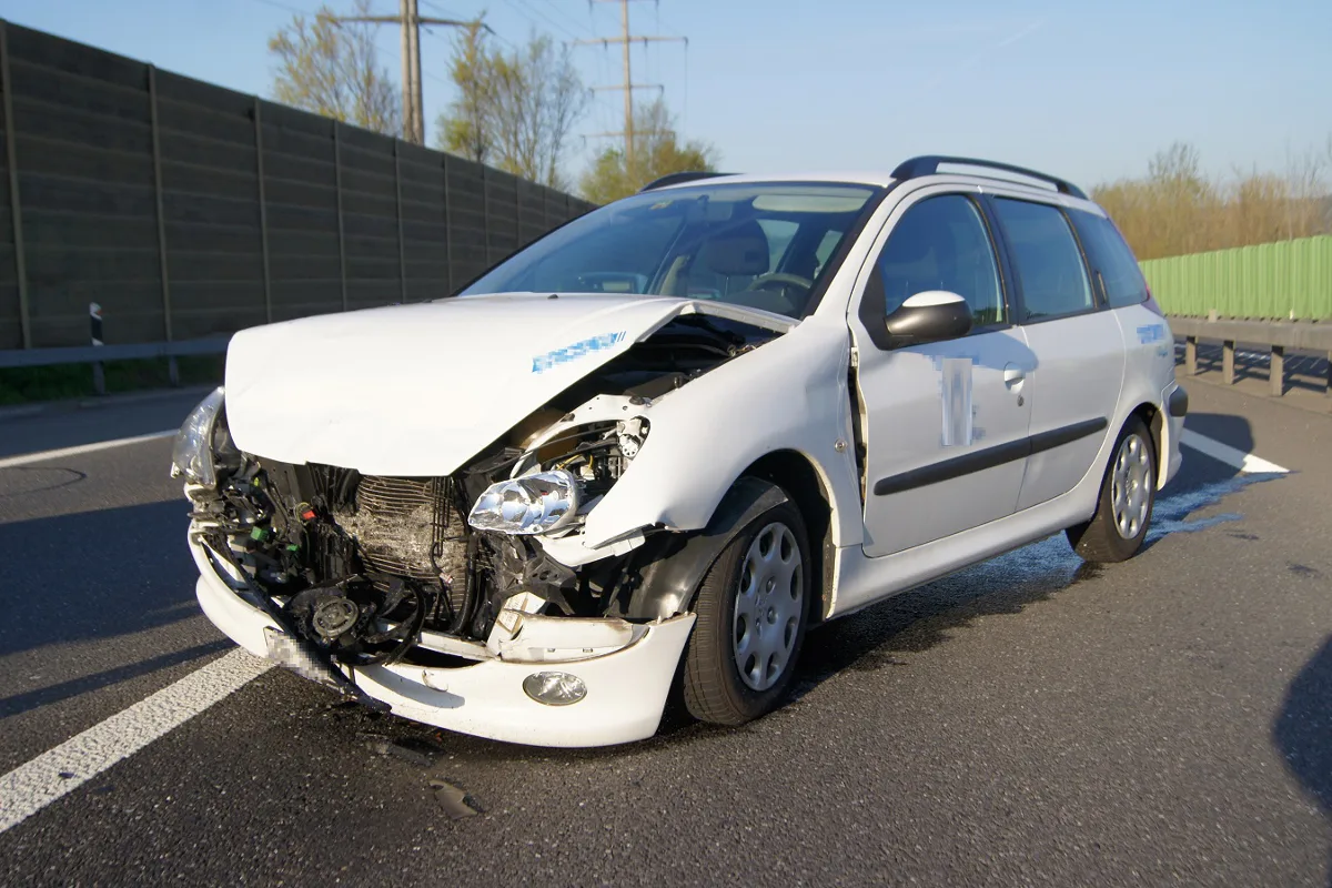 Risch Rotkreuz: Stau wegen Auffahrcrash - Zigarette auf Hund geworfen