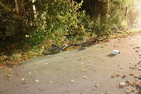 Esslingen ZH - Zwei Verletzte bei Rennrad-Unfall - Zeugenaufruf