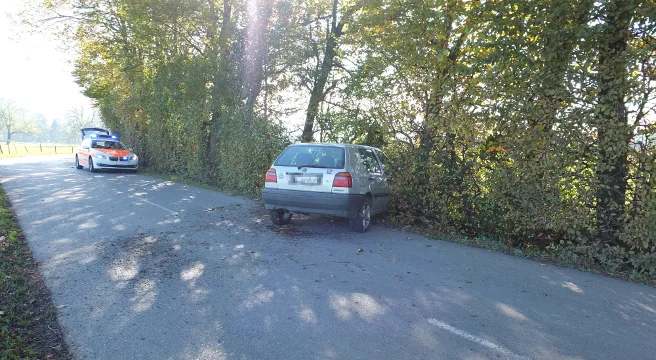 Marbach: Auto ausgewichen und in Baum geprallt