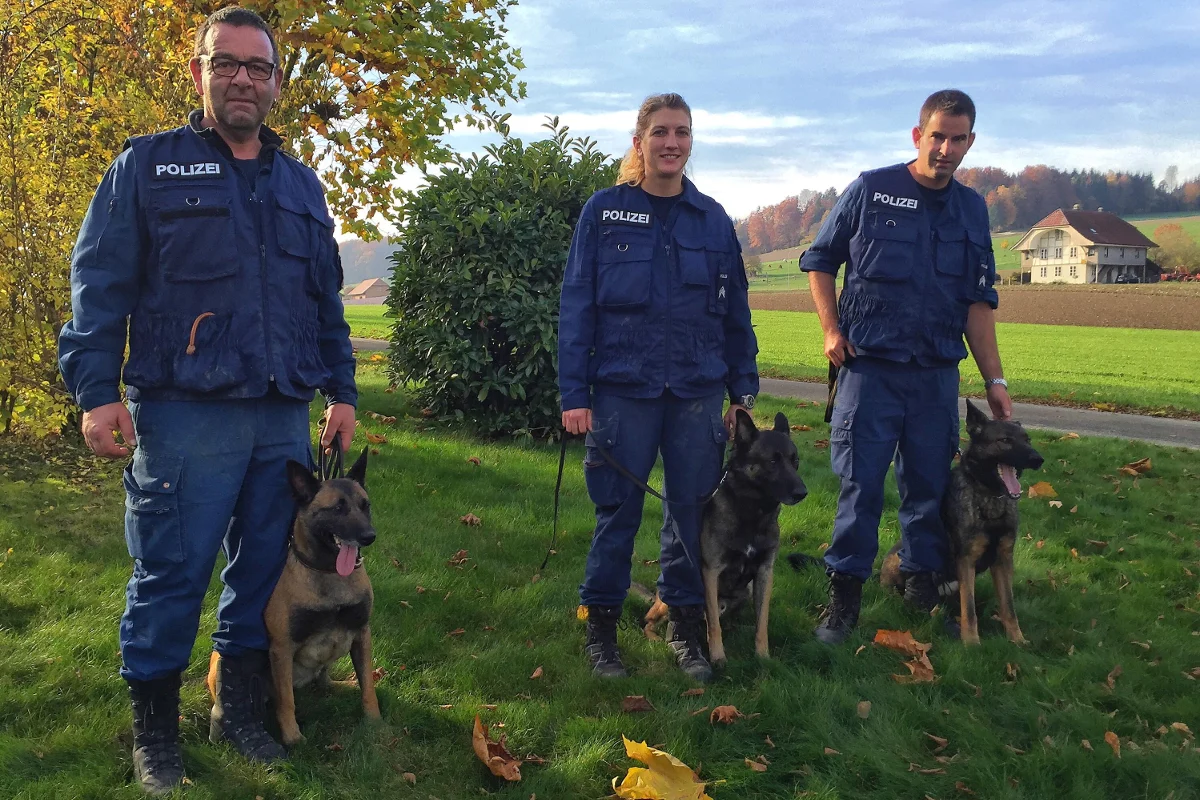 Solothurner Polizeihunde auf dem Prüfstand