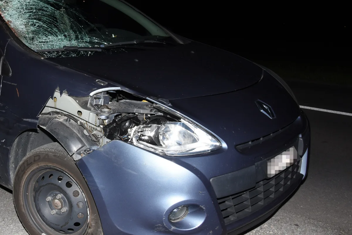 Kriessern SG - Pferd nach Kollision mit Auto eingeschläfert