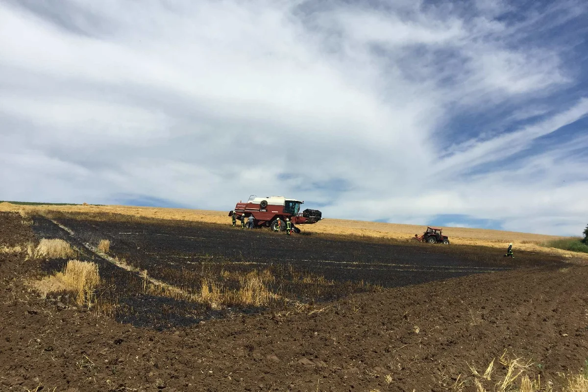 Bösingen FR - Brand auf Kornfeld