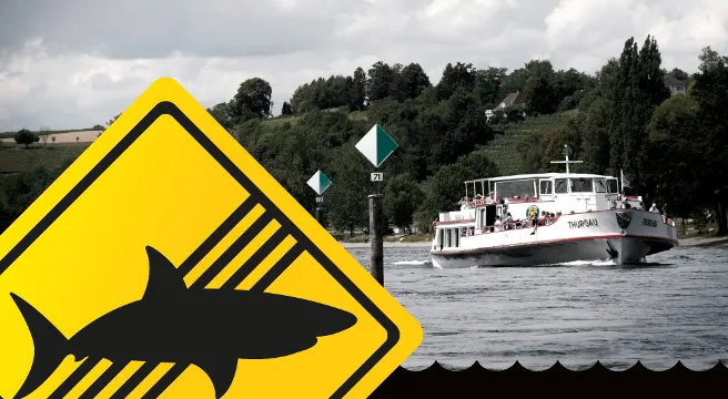 "Keine Haie in unseren Flüssen" - Sicherheit geht vor